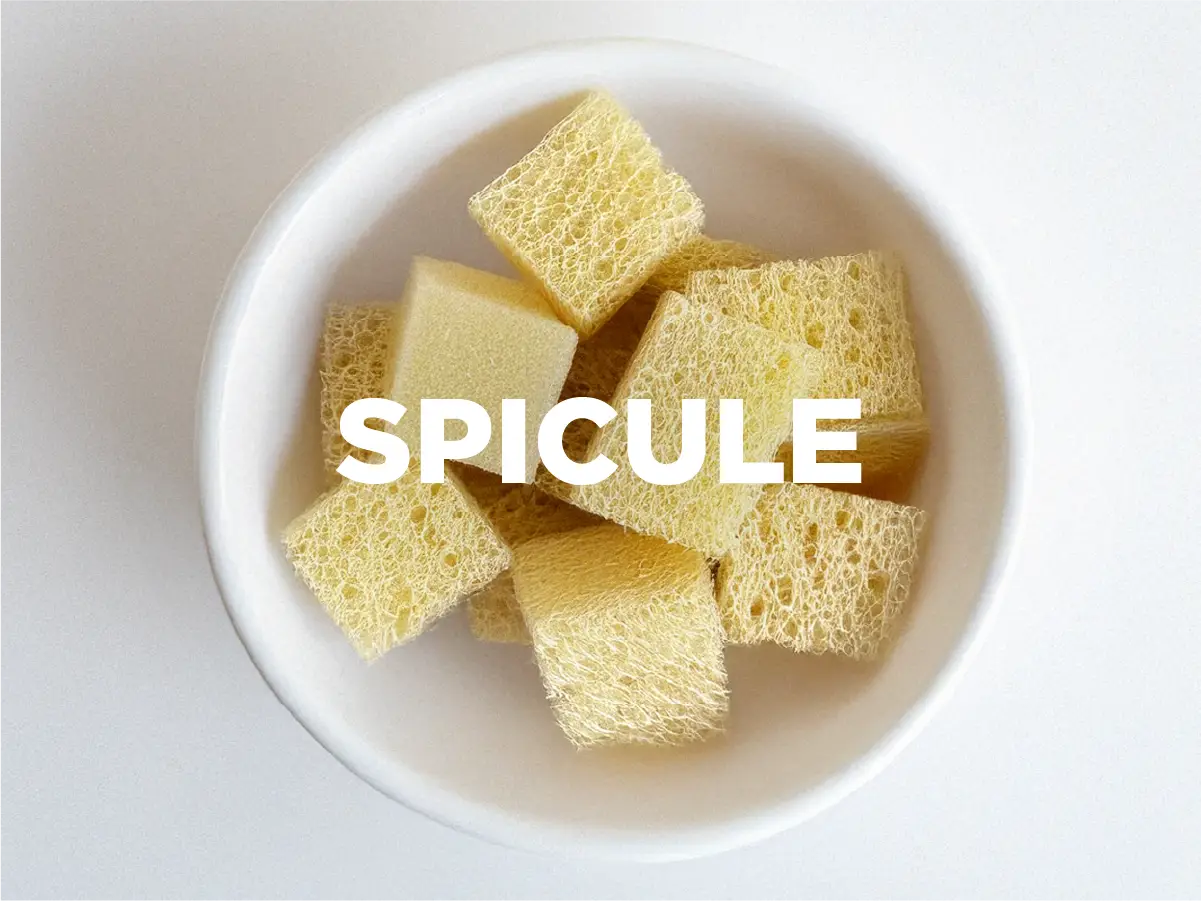 Microdart Serum Ampoule + Spicule - Skin Republic South Africa
